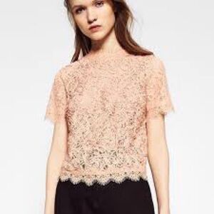 Zara Sz M Trafaluc Medium Blush Pink Embroidered Lace Top